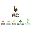 Grupo Bugio